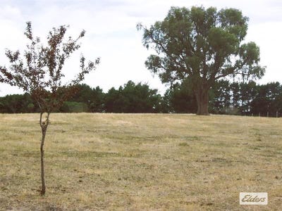/international/au/lot-4-reilly-drive-elphinstone-vic-700364284/