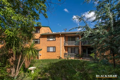 /international/au/38-6-maclaurin-crescent-chifley-act-150910976/