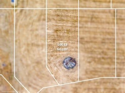 /international/au/lot-12-126-dexter-street-westbury-tas-204456936/