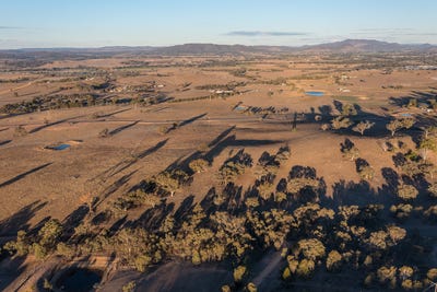 /international/au/-darthula-mudgee-nsw-700407848/