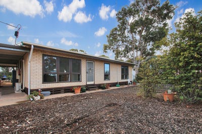 /international/au/42-riverview-terrace-morgan-sa-148643620/