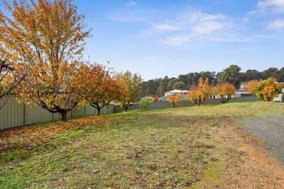 /international/au/15-thomas-street-myrtleford-vic-204338812/