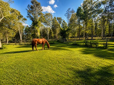 /international/au/53-79-greensward-road-tamborine-qld-152138352/