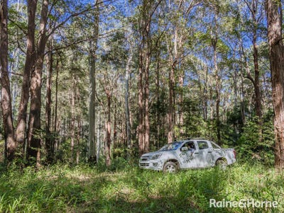 /international/au/83-mount-burrell-road-mount-burrell-nsw-204485788/