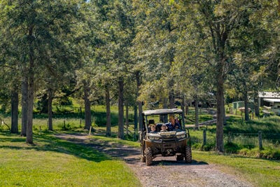 /international/au/55-jerry-creek-road-langshaw-qld-700404704/