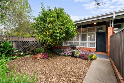 /international/au/4-36a-pier-street-glenelg-south-sa-152556092/