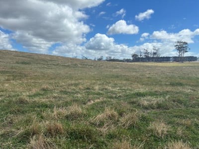 /international/au/pid-6250932-montagu-road-scopus-tas-700400540/