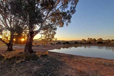 /international/au/lagoon-creek-road-minore-nsw-700376856/
