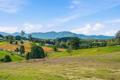 /international/au/39-whistler-place-bellingen-nsw-204556140/