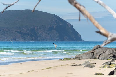 /international/au/931-lighthouse-road-south-bruny-tas-148667464/?lang=en
