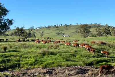 /international/au/hillgrove-2851-napier-lane-nombi-nsw-700403344/