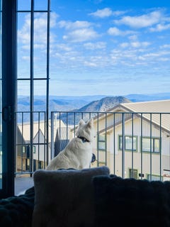 /international/au/4-1-chamois-road-mount-buller-vic-148196824/