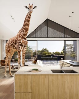 /international/au/9-11-wimba-avenue-kew-vic-151628708/