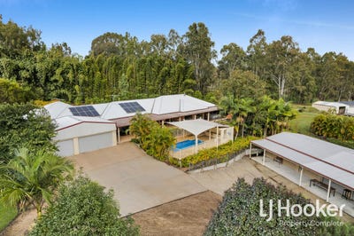 /international/au/40-44-king-parrot-close-boyland-qld-148371448/