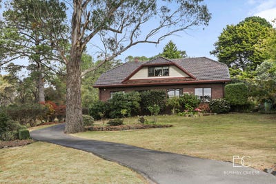 /international/au/39-denison-road-west-launceston-tas-151245600/