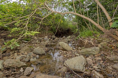 /international/au/43-rowe-lane-cedar-creek-qld-148565760/?lang=de