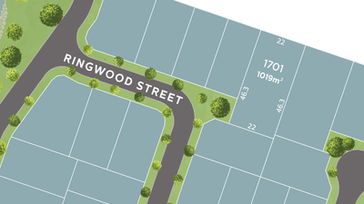 /international/au/lot-1701-ringwood-street-mount-low-qld-204372268/
