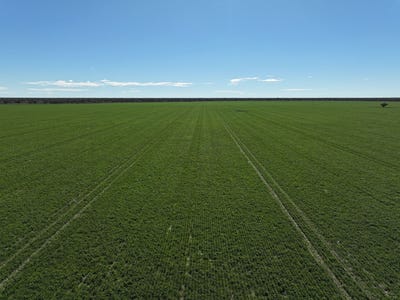 /international/au/1127-green-and-branders-road-carinda-nsw-700368248/?lang=zh-cn