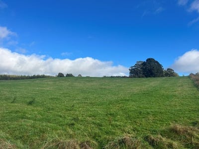 /international/au/56-smarts-road-mount-hicks-tas-700408416/
