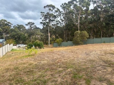 /international/au/4-willow-creek-drive-denmark-wa-204477040/