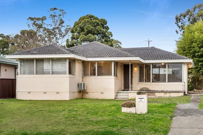 /international/au/53-flinders-avenue-camden-south-nsw-148647136/
