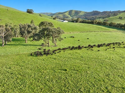 /international/au/71-79-ti-tree-creek-road-yea-vic-700425608/