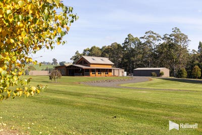 /international/au/95-back-road-lower-wilmot-tas-151114116/