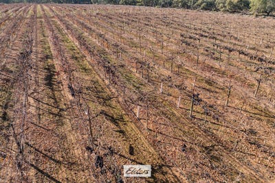/international/au/178-arumpo-road-mourquong-nsw-700364432/?lang=zh-tw