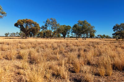 /international/au/bundaleer-south-plains-road-cunnamulla-qld-700406580/