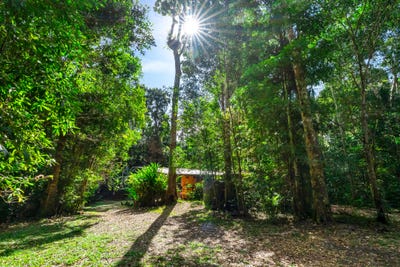 /international/au/lot-12-oak-forest-road-kuranda-qld-148623060/?lang=zh-cn