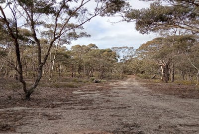 /international/au/-dunolly-orville-road-painswick-vic-204548716/