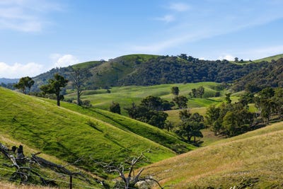 /international/au/1208-sawyers-gully-road-mullion-nsw-700412472/