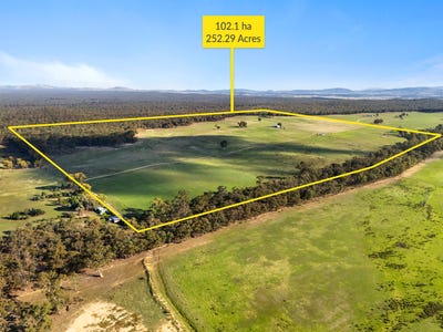 /international/au/189-lillicur-road-amherst-vic-700408212/