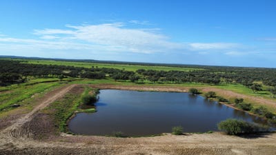 /international/au/-evengy-1484-warbreccan-road-stonehenge-qld-204499612/