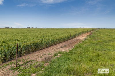 /international/au/baringhup-road-baringhup-vic-700428960/