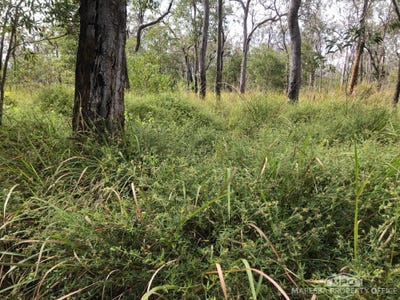 /international/au/lot-154-764-hodzic-road-biboohra-qld-700367644/?lang=zh-cn