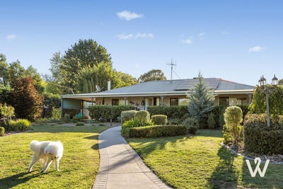 /international/au/20-rose-street-murrumbateman-nsw-146554888/