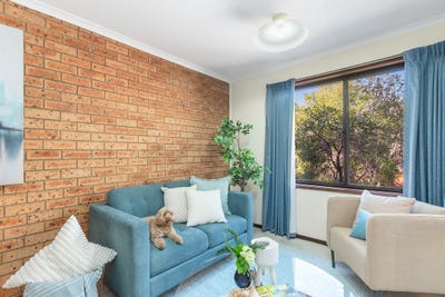 /international/au/19-rowe-place-phillip-act-152533852/