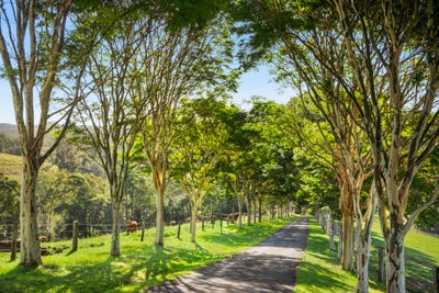 /international/au/216-jorgensen-road-ridgewood-qld-148646128/?lang=it