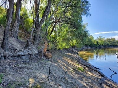 /international/au/67-brown-st-boggabilla-nsw-204569044/
