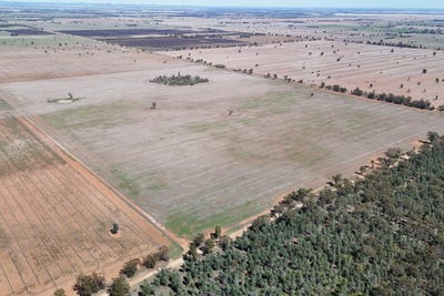 /international/au/239-berendebba-lane-quandialla-nsw-700404164/