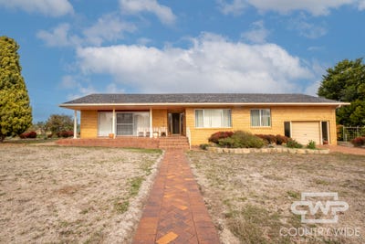/international/au/23-simpson-street-deepwater-nsw-151462880/