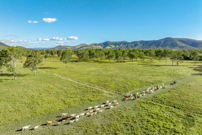 /international/au/lot-264-abel-road-lower-wonga-qld-700409532/