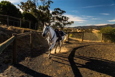 /international/au/40-searles-lane-reedy-creek-vic-151304824/