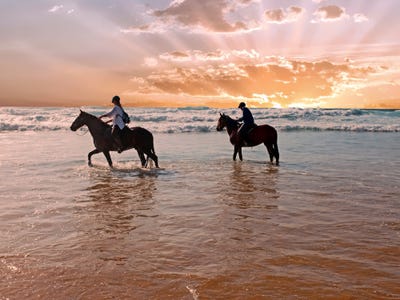 /international/au/lot-11-391-diamond-beach-road-diamond-beach-nsw-204520060/