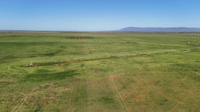 /international/au/-willochra-willochra-road-wilmington-sa-700428876/