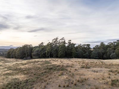 /international/au/1-glendale-road-sidmouth-tas-700400716/