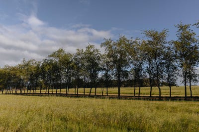 /international/au/springfield-farm-yallingup-wa-204428440/
