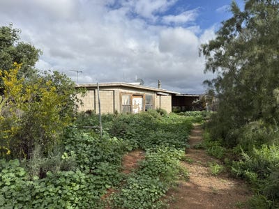 /international/au/67-barndioota-road-hawker-sa-151428572/