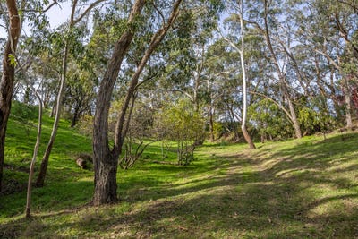/international/au/lot-21-montacute-road-montacute-sa-700411436/